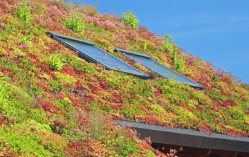 Stanton St Quintin living roof systems