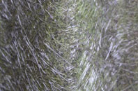 Stanton St Quintin fibreglass roof work